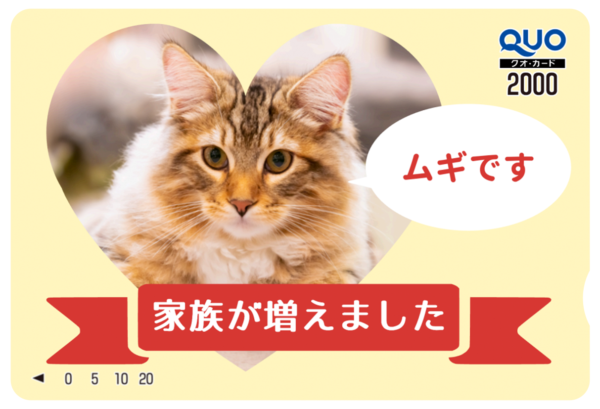 QUOカード【2,000円｜カラー】オリジナル