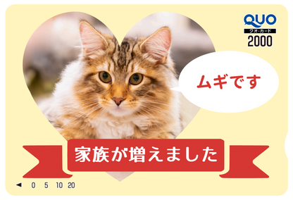 QUOカード【2,000円｜カラー】オリジナル